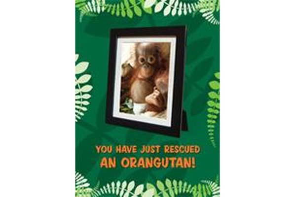 Gift Card - 12 months medicine for an orangutan