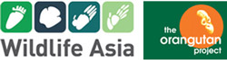 Wildlife Asia and The Orangutan Project