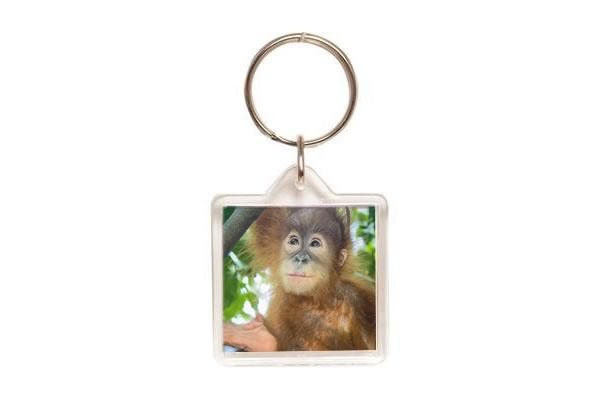 Adoption Key Ring