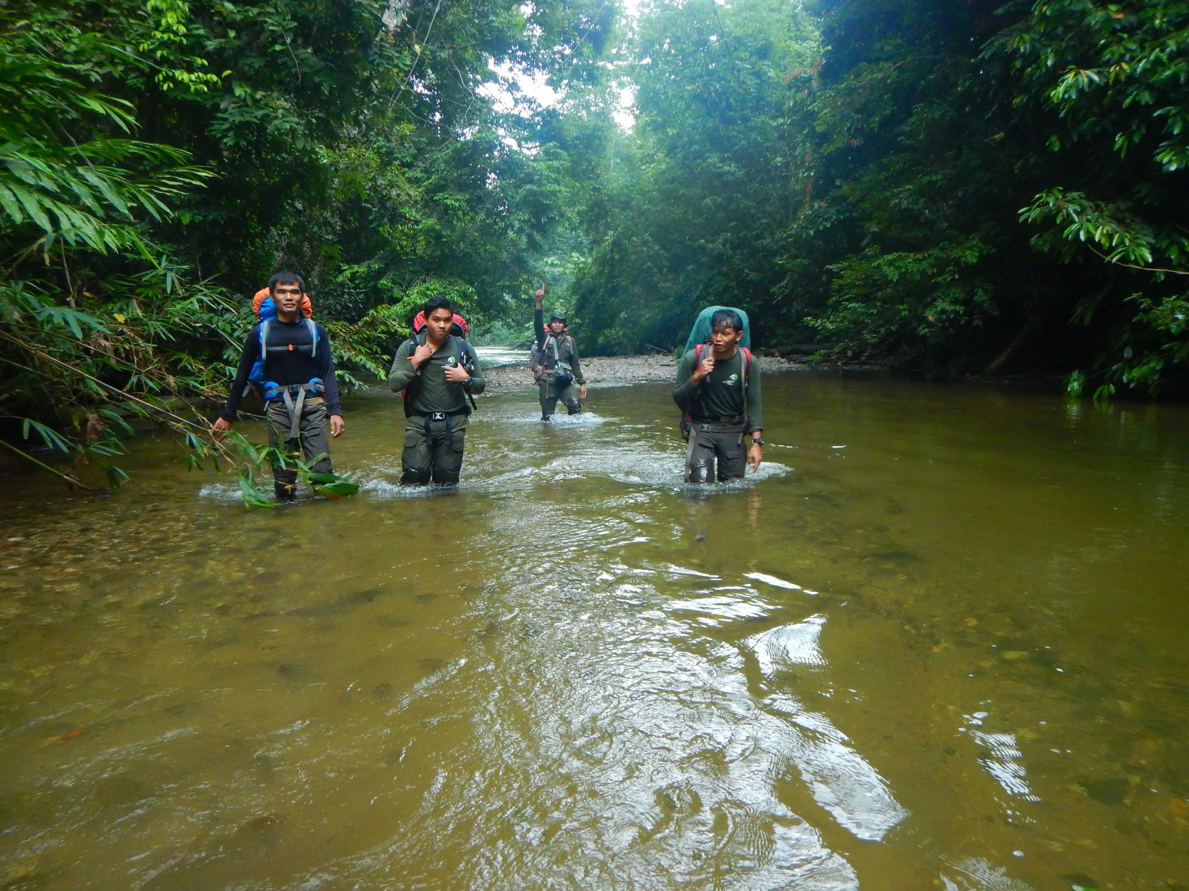 Celebrating our wildlife rangers on World Ranger Day! - The Orangutan