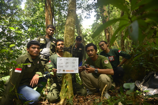 West Sumatra Tiger Team