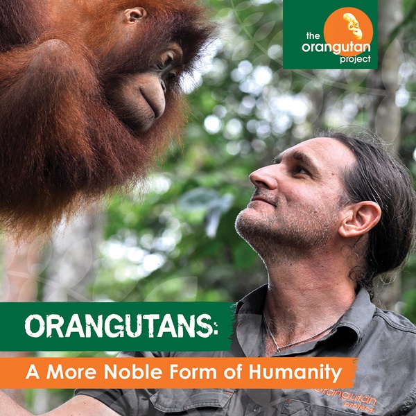 Orangutans: A More Noble Form of Humanity - Adelaide
