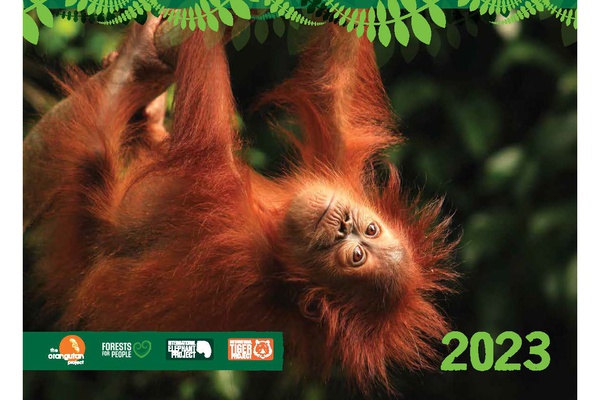 2023 Calendar