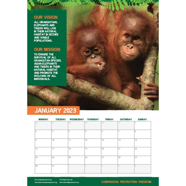 Calendar - January