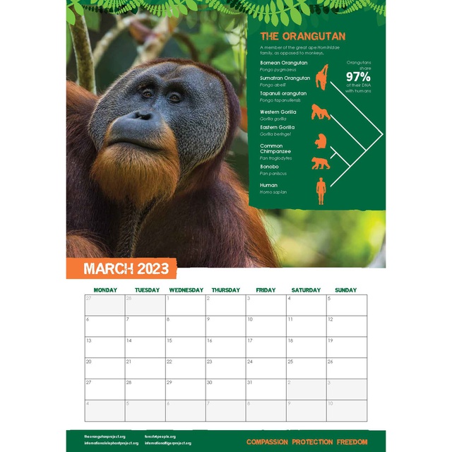 Calendar - March