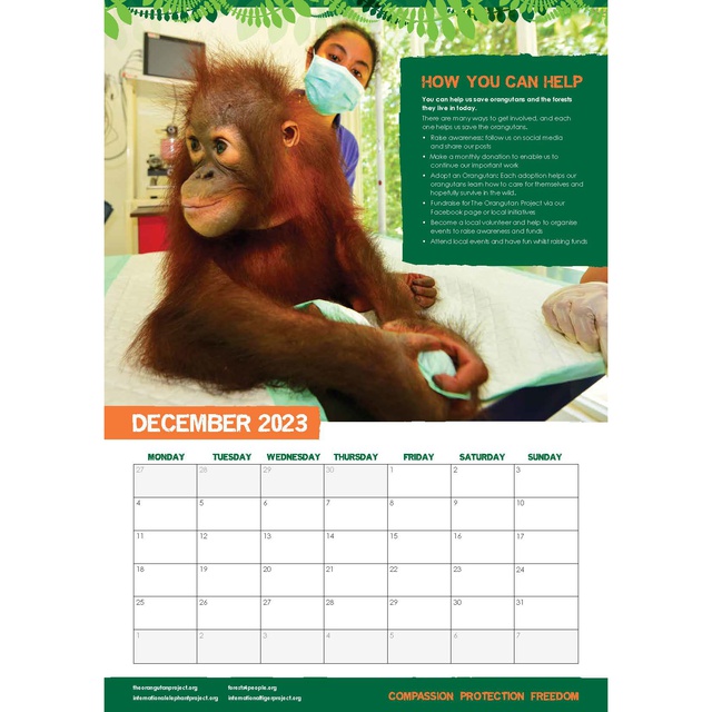 Calendar - December